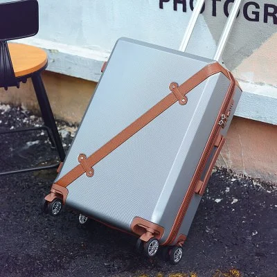 Silver luggage